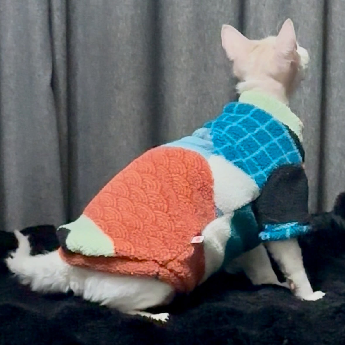 Thickened Fleece-lined Fur-free Cat Clothing For Warmth