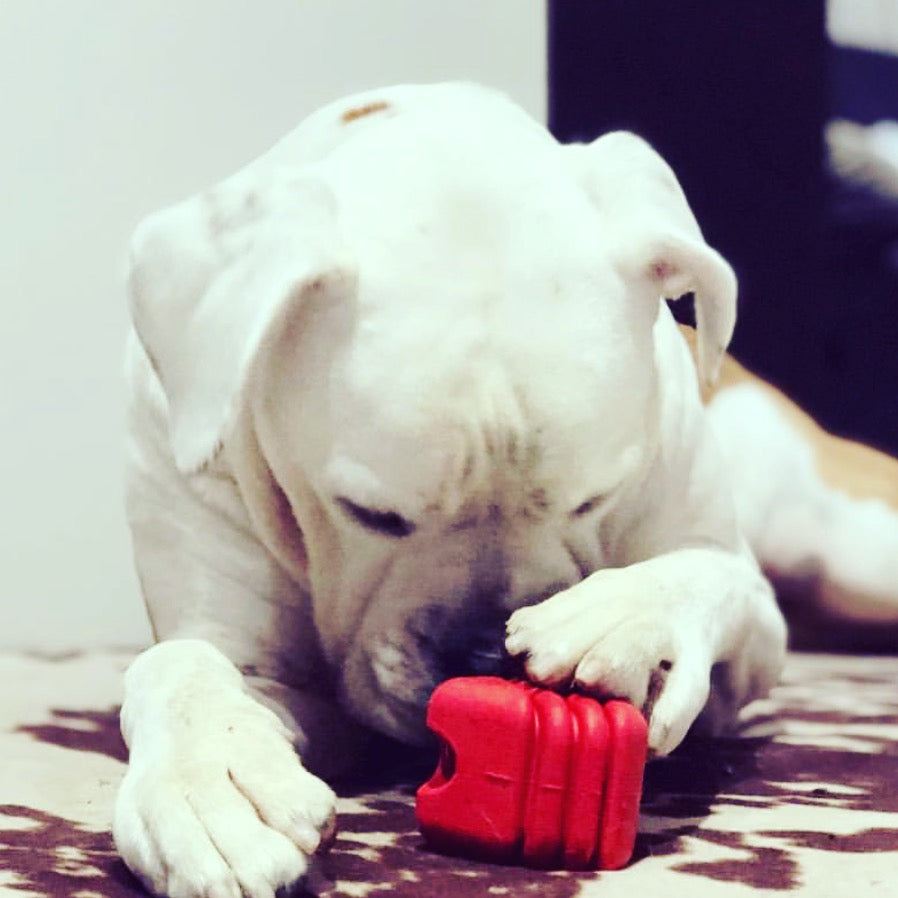 Large Rubber Heart on a String Toy - Durable Dog Chew & Fetch Ball