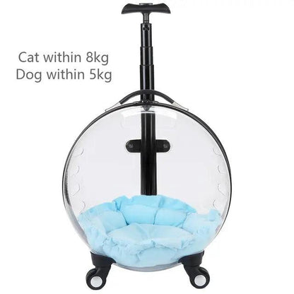 Transparent rolling pet travel trolley with wheels for puppies and cats in pink and green colors