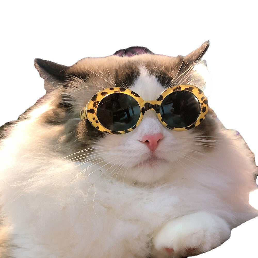 Pet Dog Cat Multi-color Sunglasses Cool Handsome Accessories
