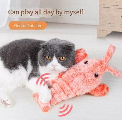 Cat playing with electric lobster pet toy made of soft velvet fabric with USB charging