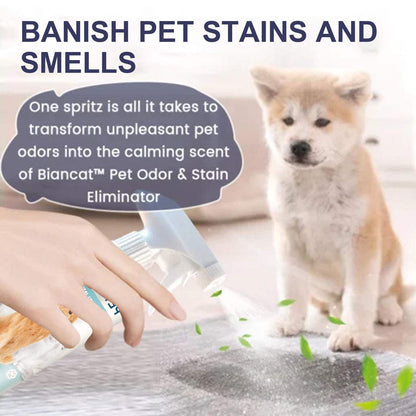 Pet Odor & Stain Eliminator spray bottle with natural extracts for removing pet odors and stains indoors