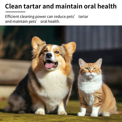 Happy dog and cat sitting outdoors representing Pet Mint Fresh Breath Spray for clean tartar and oral health