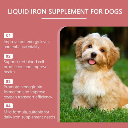 Pet dog syrup bottle with peppermint extract for supplementing dogs' iron and vitality