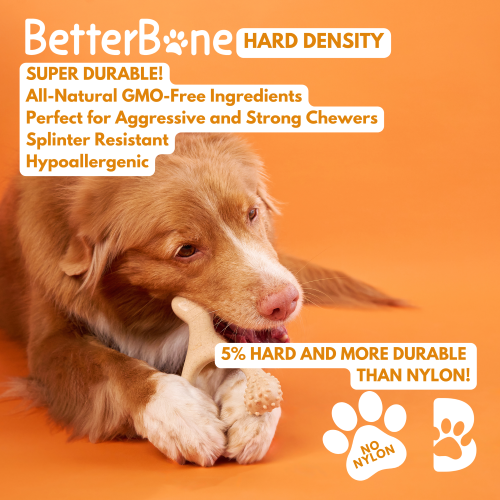 Dog chewing BetterBone HARD CHEW TOY made from all-natural, durable, hypoallergenic ingredients, ideal for aggressive chewers