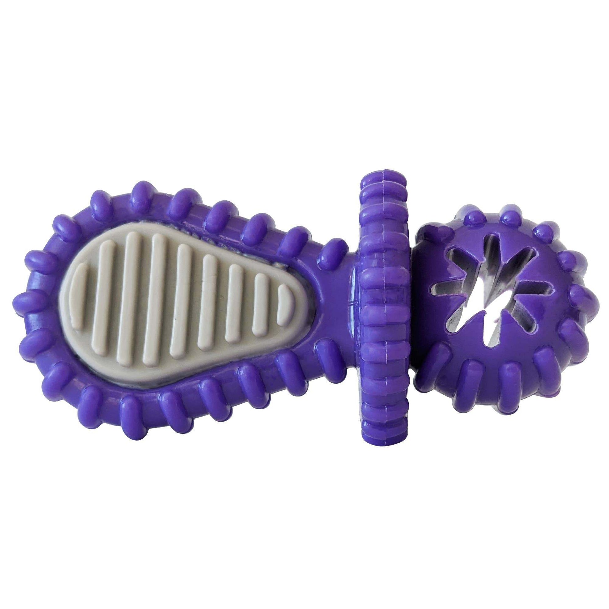 Purple rubber dental pacifier dog toy with ridges, treat hole, and durable design for chewing and oral health