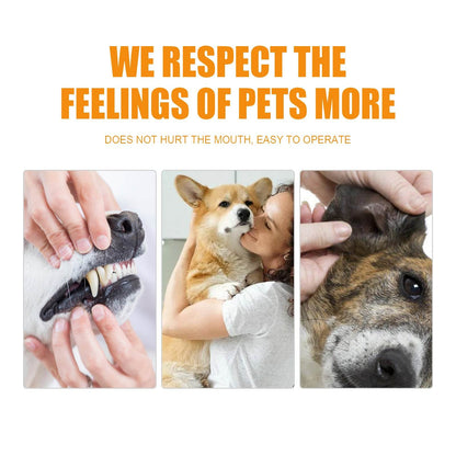 Pet dental gloves for effective pet teeth cleaning and tartar removal