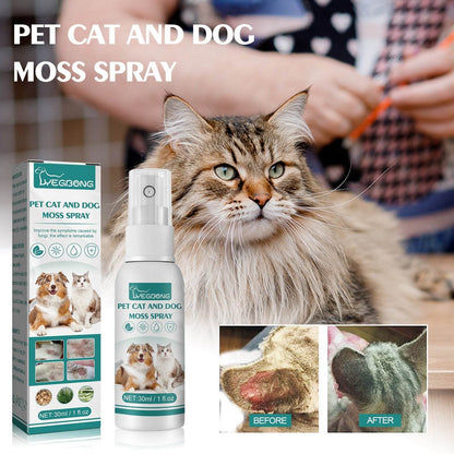 Pet Skin Medicine Spray for cats and dogs treating mite skin itching and redness