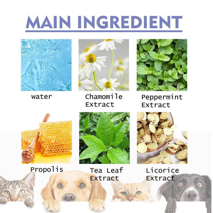 Dog and cat tooth cleaning spray with natural extracts for fresh breath and oral health maintenance
