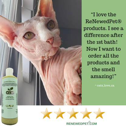 Natural hairless pets regular conditioner for smooth, soft skin with organic ingredients
