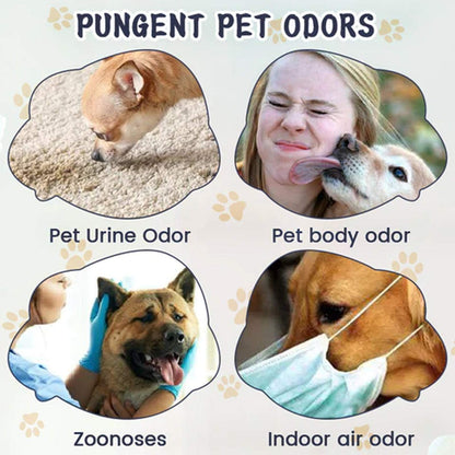 Pet Odor & Stain Eliminator spray bottle with natural extracts for removing pet odors and stains indoors