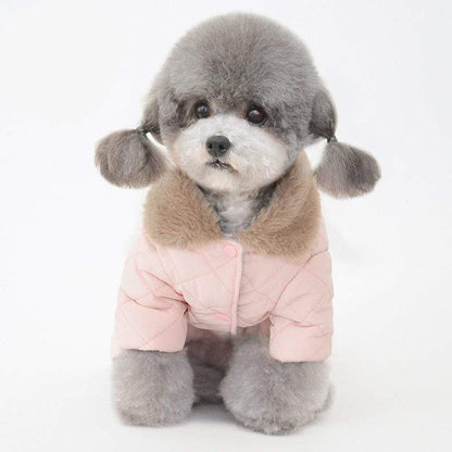 Pet Cotton Coat - Casual Teddy & Cotton Padded Warm Winter Dog Clothes