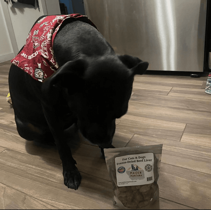Freeze Dried Beef Liver Treats | 4oz.