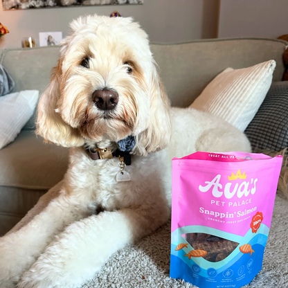 Dog lying on couch next to pink and blue bag of Ava's Pet Palace Snappin' Salmon crunchy jerky dog treats