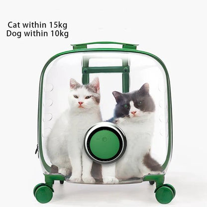 Transparent rolling pet travel trolley with wheels for puppies and cats in pink and green colors
