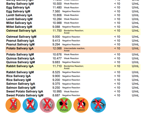 Dog Food Allergy /  Sensitivity Test!