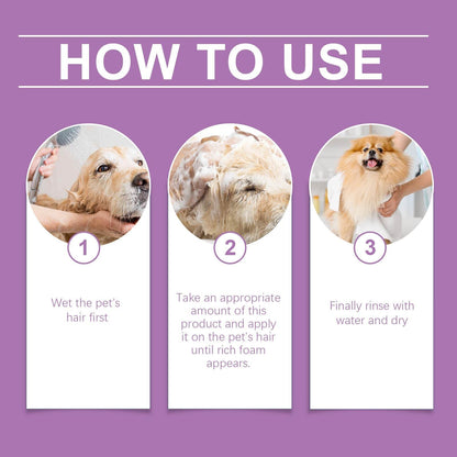 Step-by-step guide to using pet lavender shampoo for clean, fragrant cat and dog hair