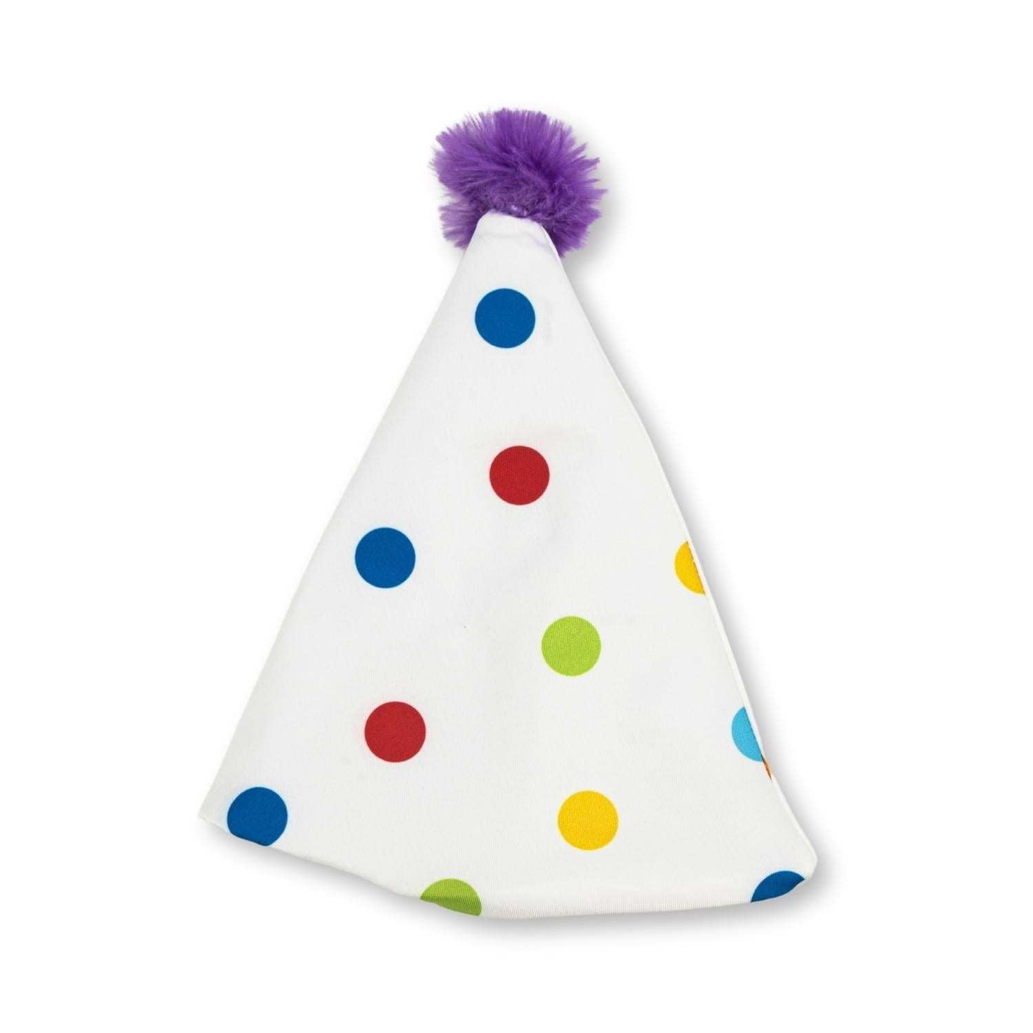 Colorful polka dot dog birthday party hat with purple pom pom from dog birthday kit