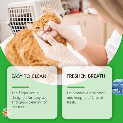 Veterinarian using dog and cat tooth wipes to clean orange cat's teeth for fresh breath and oral health
