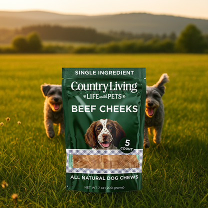 Country Living Beef Cheek Chip dog treats in resealable 5-count bag with chicken flavor