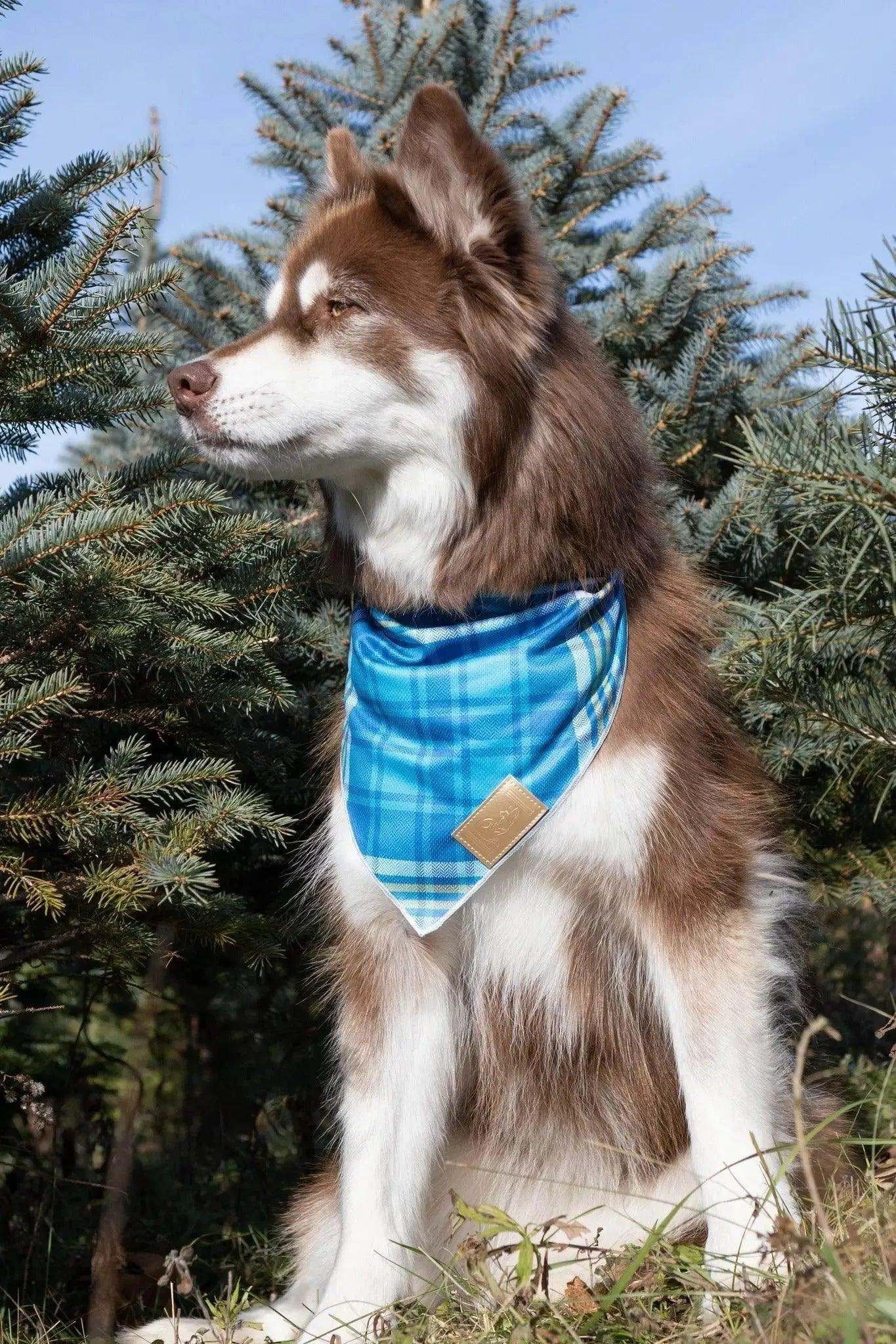 Blue Spruce Plaid Dog Bandana - Stylish & Quick-Drying for Active Pups