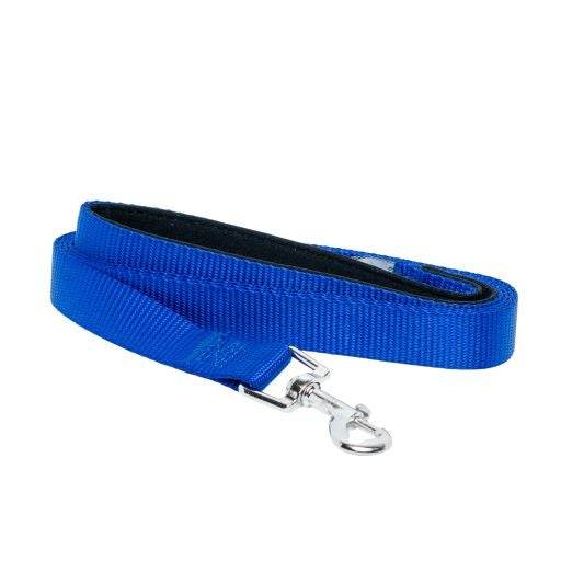 Blue padded grip dog leash made of durable nylon with nickel-coated snap, 5ft length
