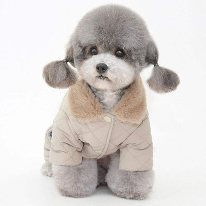 Pet Cotton Coat - Casual Teddy & Cotton Padded Warm Winter Dog Clothes