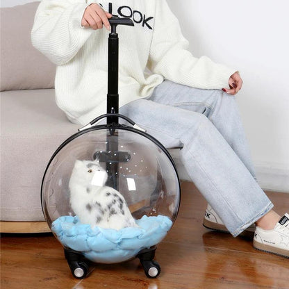 Transparent rolling pet travel trolley with wheels for puppies and cats in pink and green colors
