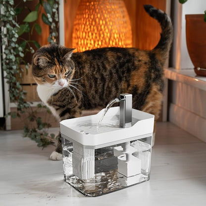 automatic pet water dispenser with circular filtration and USB power with cat nearby