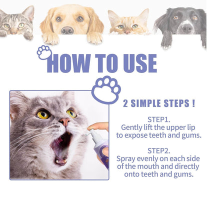 Dog and cat tooth cleaning spray application with cat demonstrating spray usage on teeth and gums