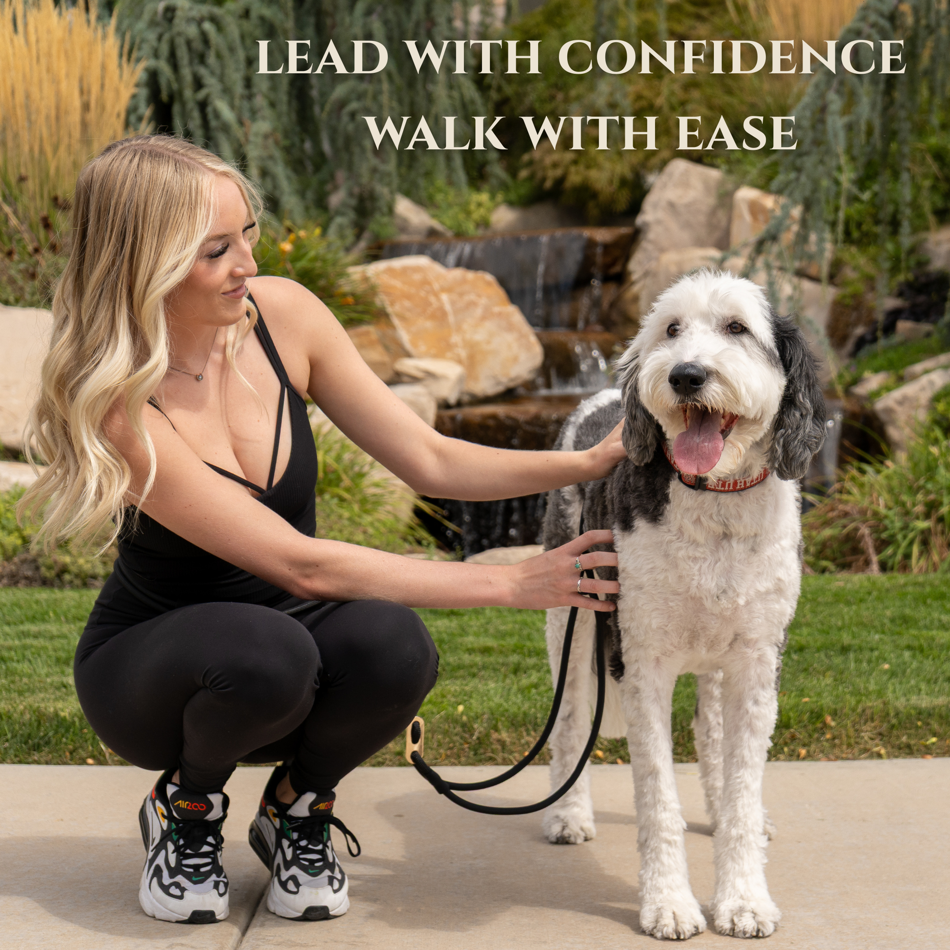Calm Command hands-free no-pull leash preventing neck pressure and promoting gentle dog walks