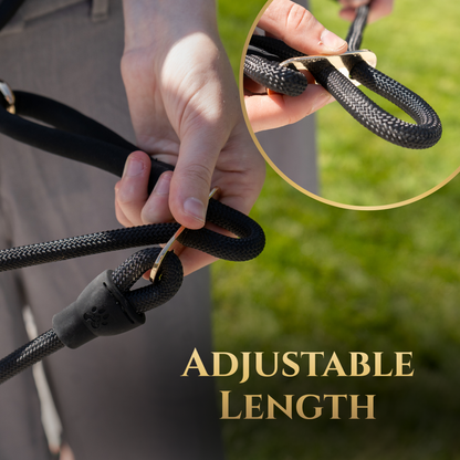 Dog on calm hands-free no-pull leash with waist belt and padded handle, promoting safe, stress-free walks