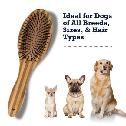 Country Living Dual-Sided Natural Wood Dog Brush with ergonomic handle and dual bristle and pin sides for all dog breeds and coat types