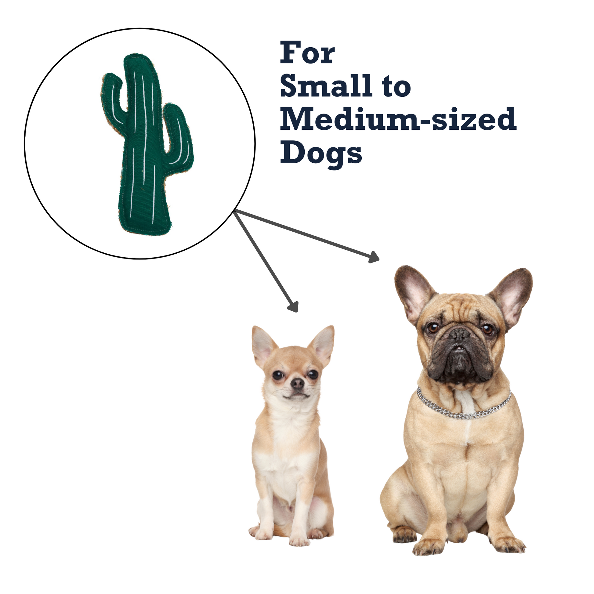 Country Living Canvas cactus-shaped durable jute and canvas dog chew toy for small to medium dogs