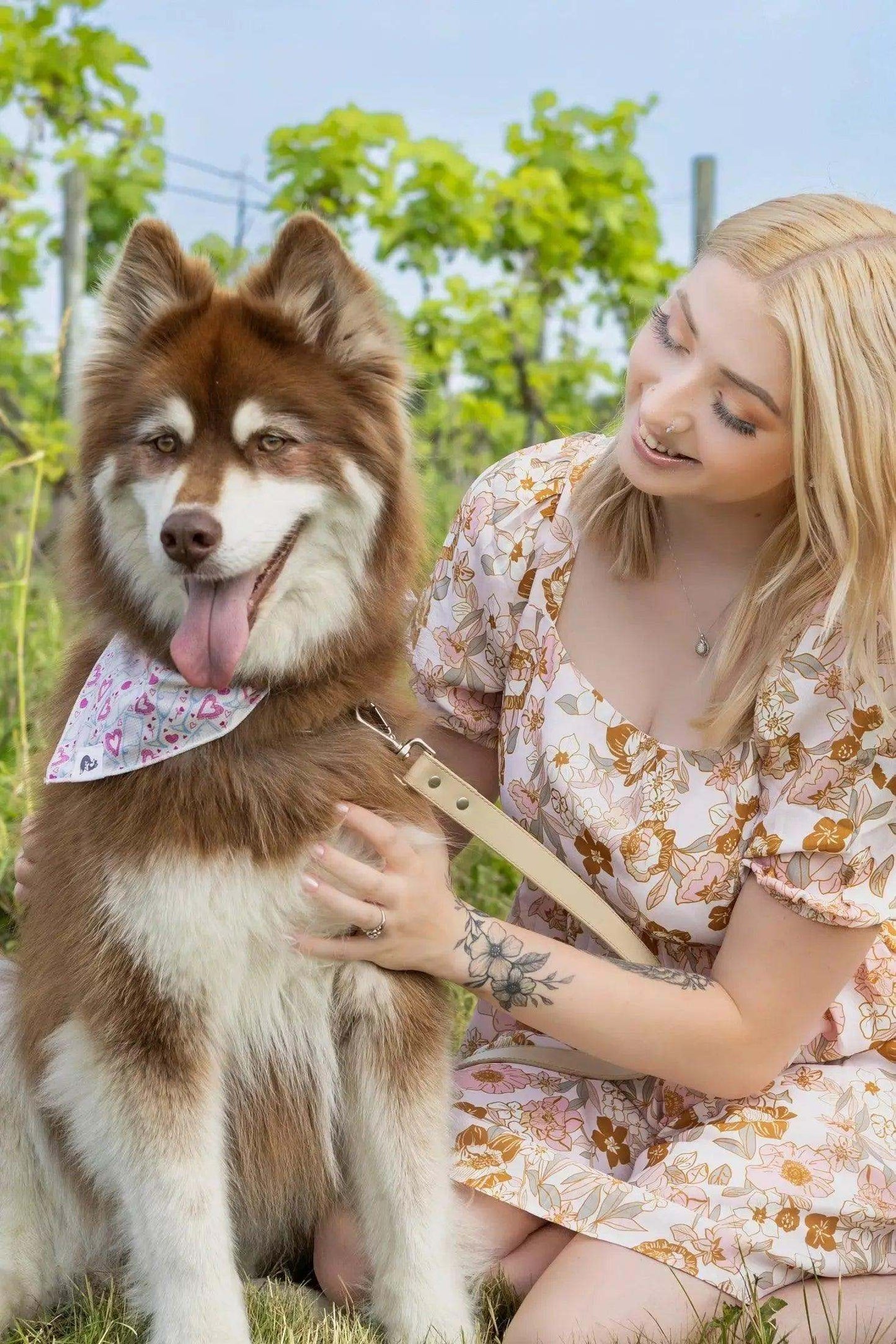 Brown and white dog wearing pink Cheers to Love Bandana sitting next to woman in floral dress outdoors