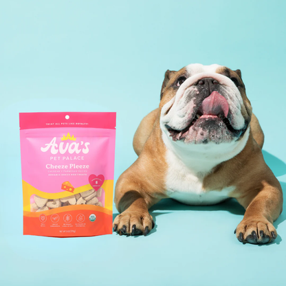 Organic Baked Dog Treats by Ava's Pet Palace - Cheeze Pleeze 6oz 2-Pk
