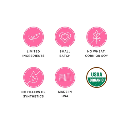 Organic Baked Dog Treats by Ava's Pet Palace - Cheeze Pleeze 6oz 2-Pk
