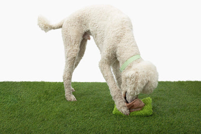 Hollywoof Nose Work Dog Toy - Interactive, Squeaky & Treat Dispenser