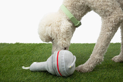 Six Nose Work Dog Toy - Entertaining Puzzle Toy for Small-Large Dogs
