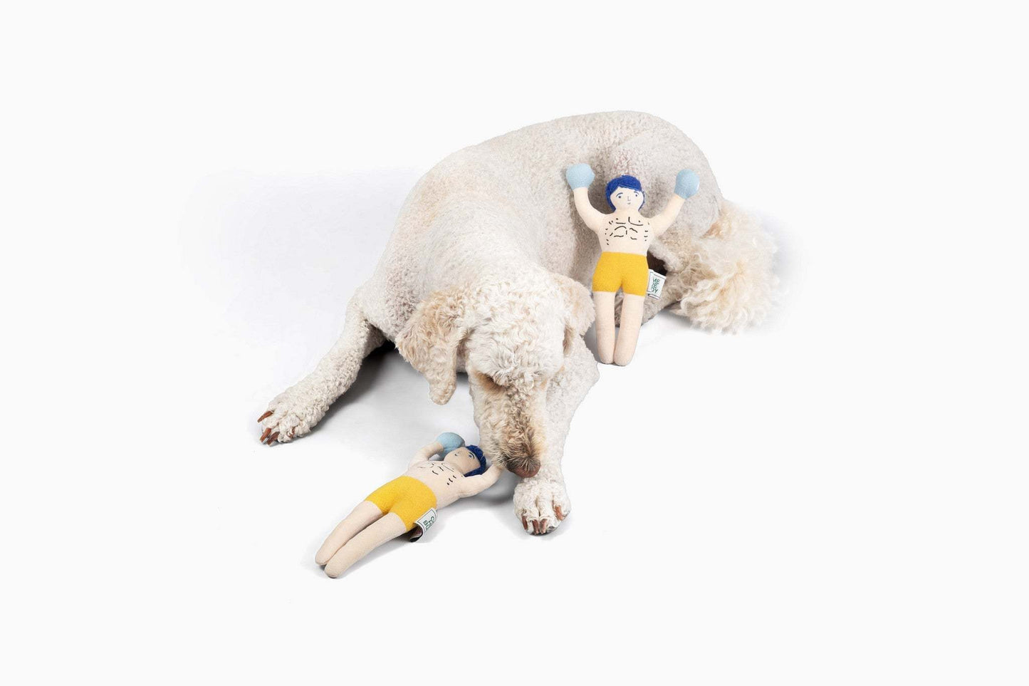 Champ Rocky Nose Work Dog Toy | Interactive Enrichment Toy for Dogs