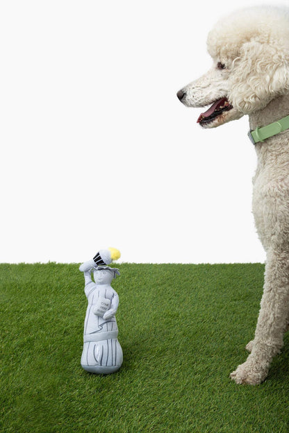 Liberty Nose Work Dog Toy - Fun Treat-Dispensing and Squeaky Dog Toy