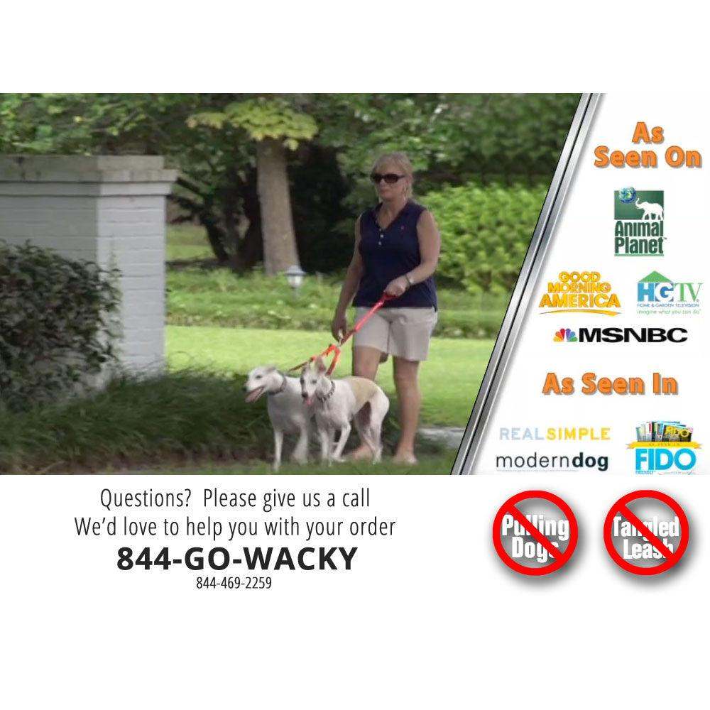 woman walking two dogs with CRAZYcoupl’r double dog leash connector for tangle-free walk