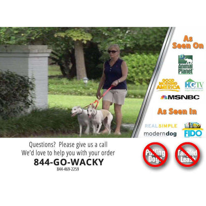 woman walking two dogs with CRAZYcoupl’r double dog leash connector for tangle-free walk