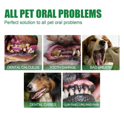 Pet tooth deodorizer spray for cats and dogs treating dental calculus, tooth damage, bad breath, dental caries, and gum swelling.