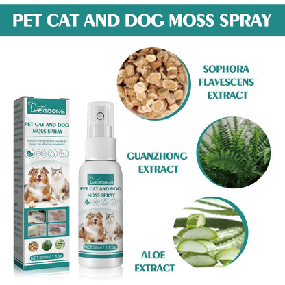Pet skin medicine spray bottle for cats and dogs treating mite skin itching and redness