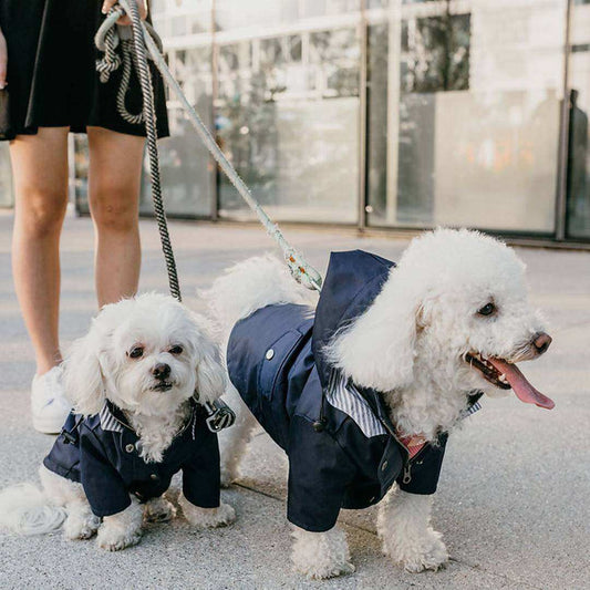 Windproof and rainproof British retro thick all weather dog raincoat