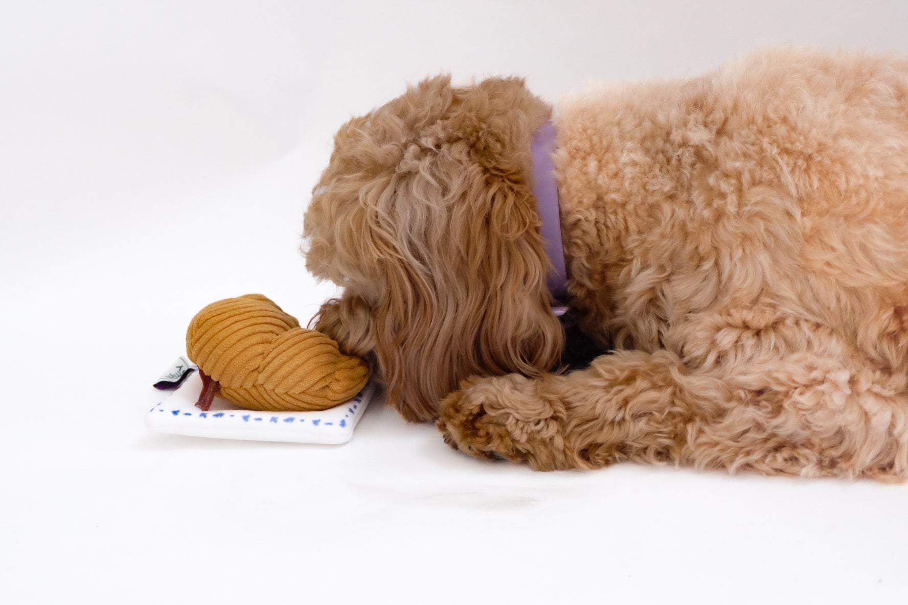 Croissant Nose Work Toy - Engaging Dog Enrichment Toy for Focused Play
