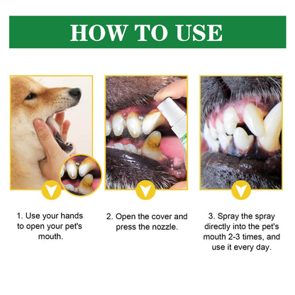 Pet Tooth Deodorizer Spray demonstrated on dog showing how to open mouth and spray for breath freshening and oral cleaning