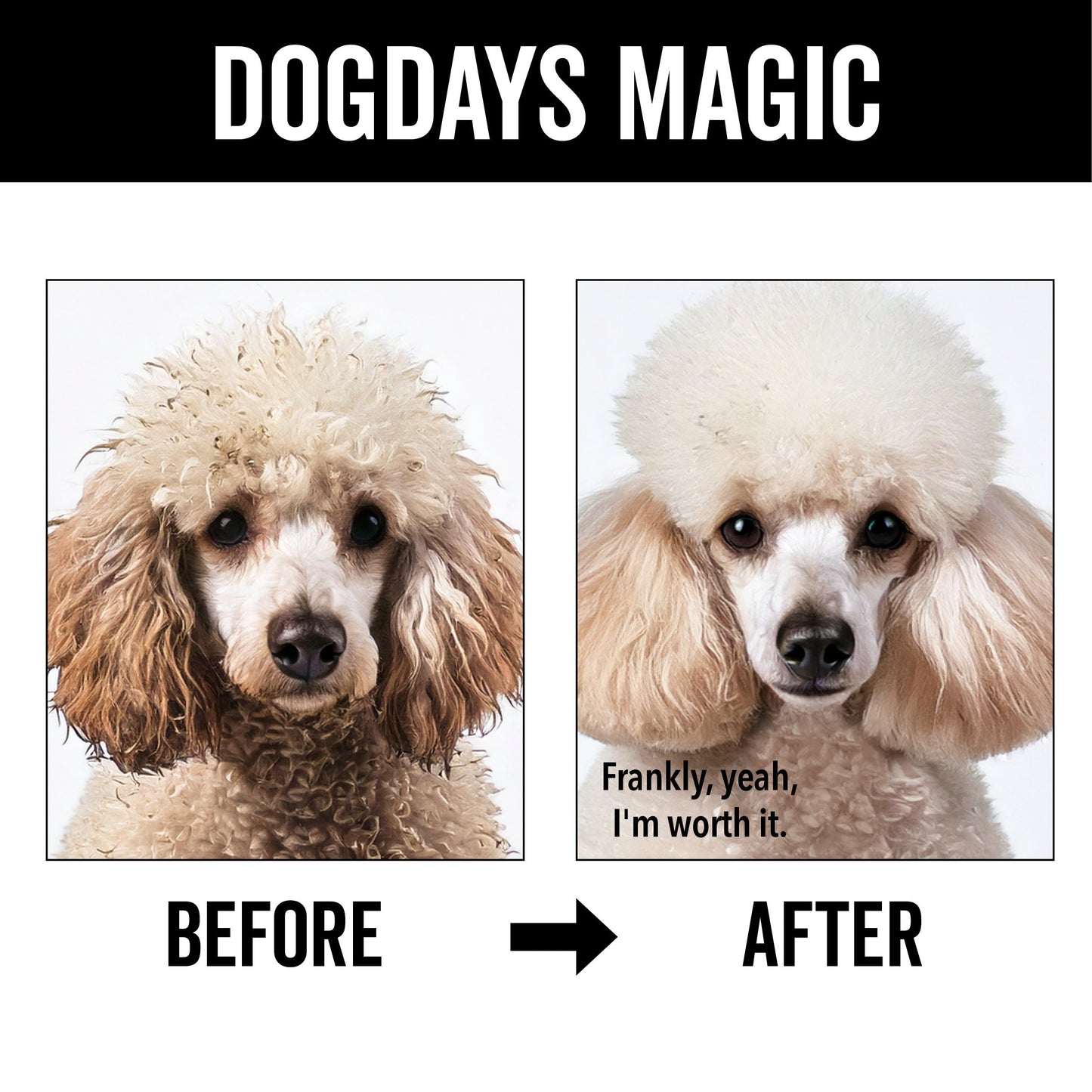 DOGDAYS Hydrating Dog Shampoo