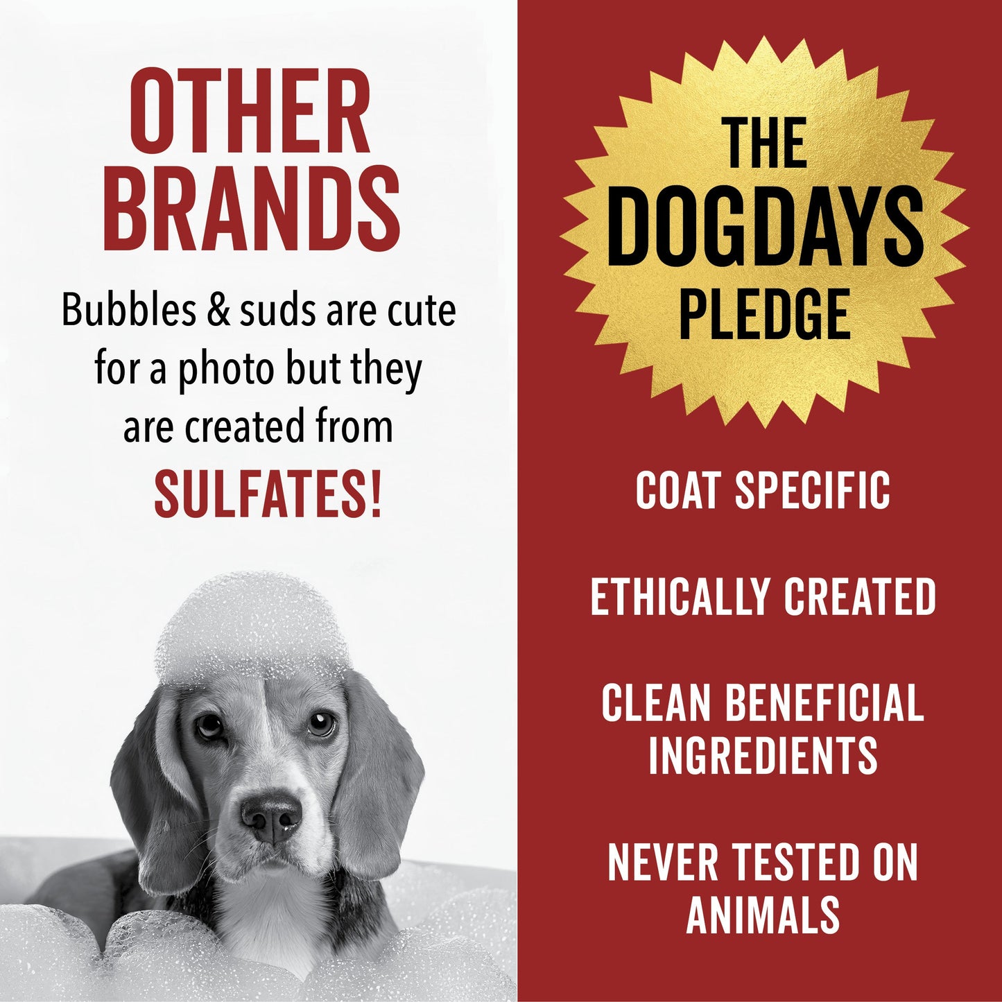 DOGDAYS Hydrating Dog Shampoo